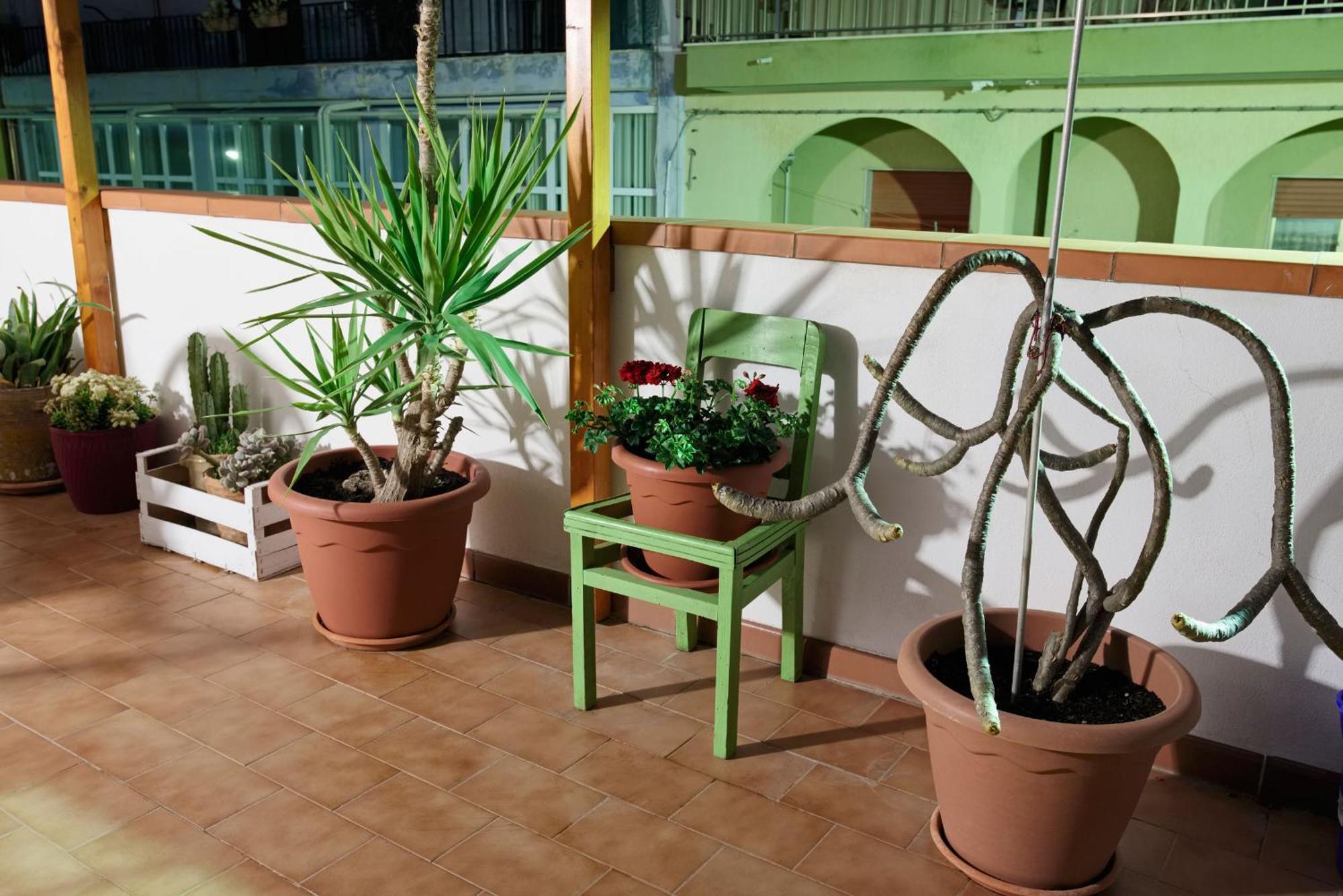 Apartmán Le Terrazze Di Angela Marina di Ragusa Exteriér fotografie